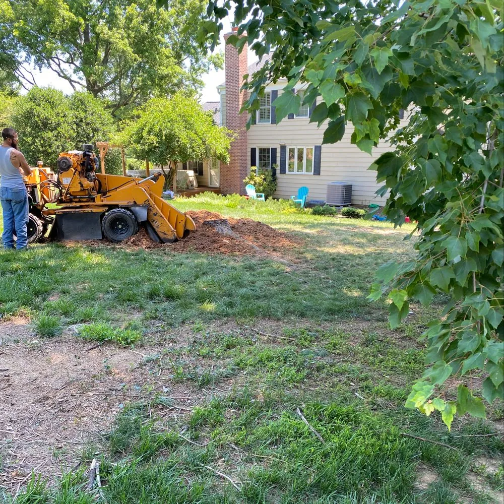 Trusted landscaping services in Richmond, VA by D-Noakes Tree & Outdoor Services