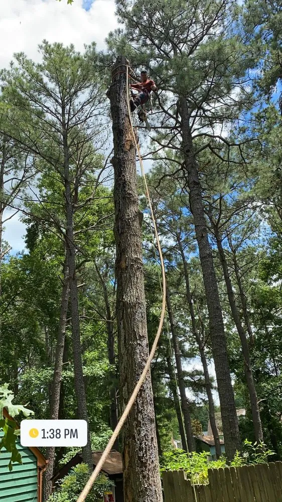 Professional landscaping services for outdoor upgrades in Richmond, VA by D-Noakes Tree & Outdoor Services