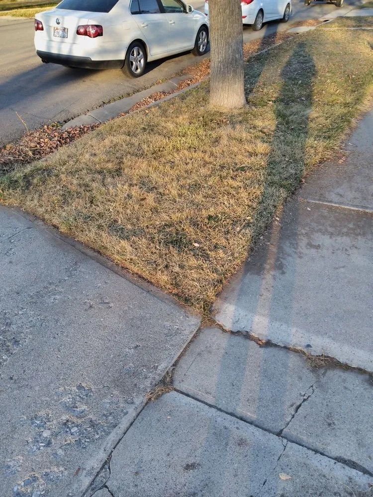 Local lawn care service in Salt Lake City, UT - D Ojeda Construction