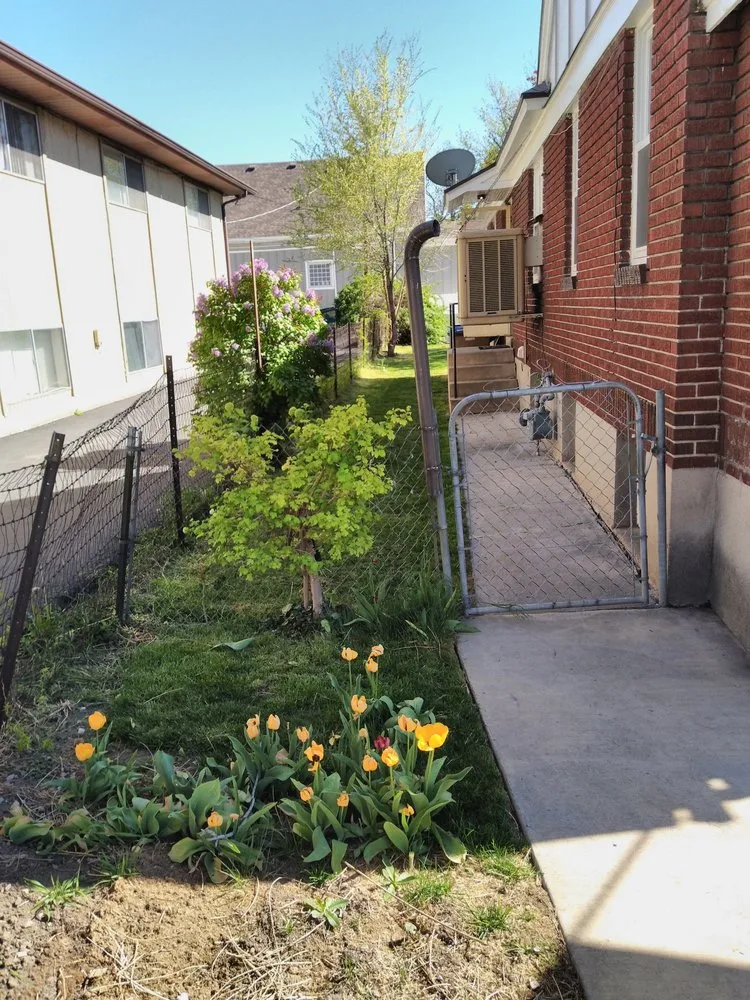 Local lawn care service in Salt Lake City, UT - D Ojeda Construction