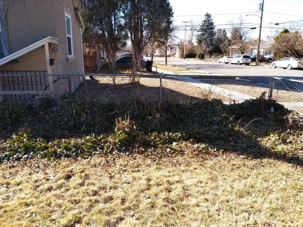 Trusted yard maintenance for residential properties across Salt Lake City, UT - D Ojeda Construction