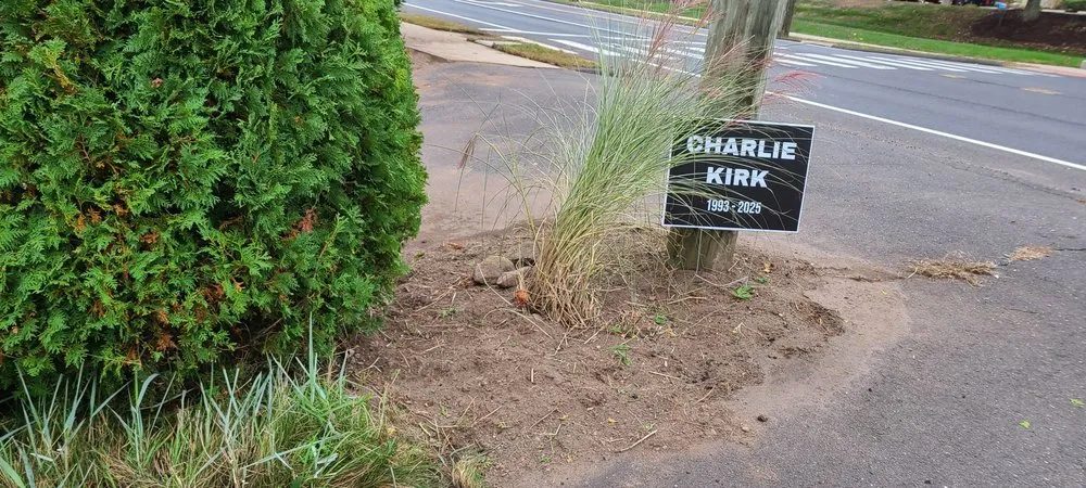 Reliable lawn care service experts serving East Hampton, CT - D. Perrelli Landscaping