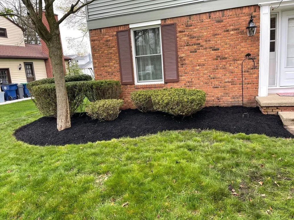 Top-rated lawn mowing service near you across Getzville, NY - D Plus Landscaping