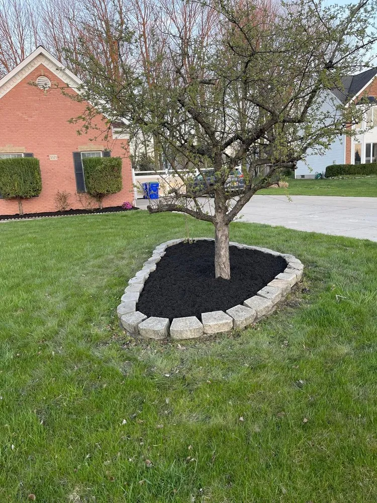 Professional yard cleanup service in Getzville, NY by D Plus Landscaping