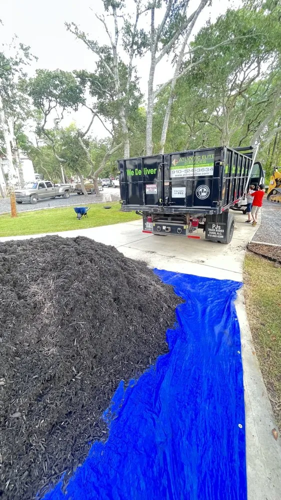 Top-rated landscape design experts serving North Myrtle Beach, SC - D R Land Service