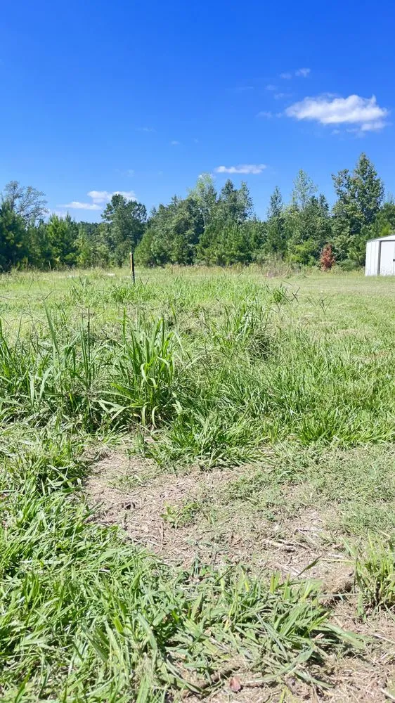 Local landscape installation with custom design across North Myrtle Beach, SC - D R Land Service