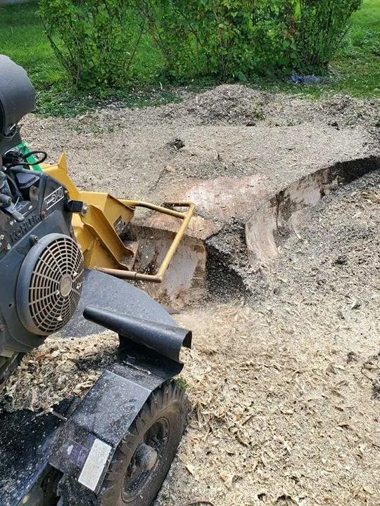 Trusted lawn care service for beautiful yards in Ogden, IL by D Ramm Services & Stump Grinding