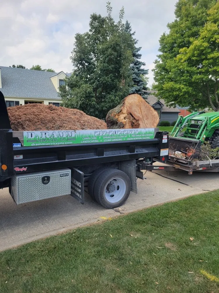 Reliable yard cleanup service in Ogden, IL - D Ramm Services & Stump Grinding