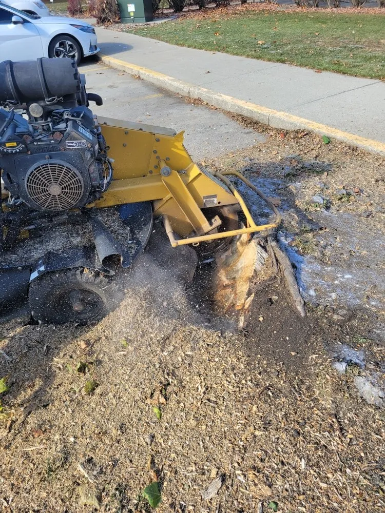 Top-rated landscape design experts serving Ogden, IL - D Ramm Services & Stump Grinding