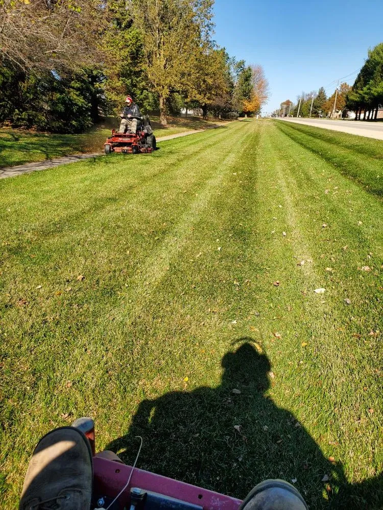 Top-rated landscape installation experts serving Ogden, IL - D Ramm Services & Stump Grinding