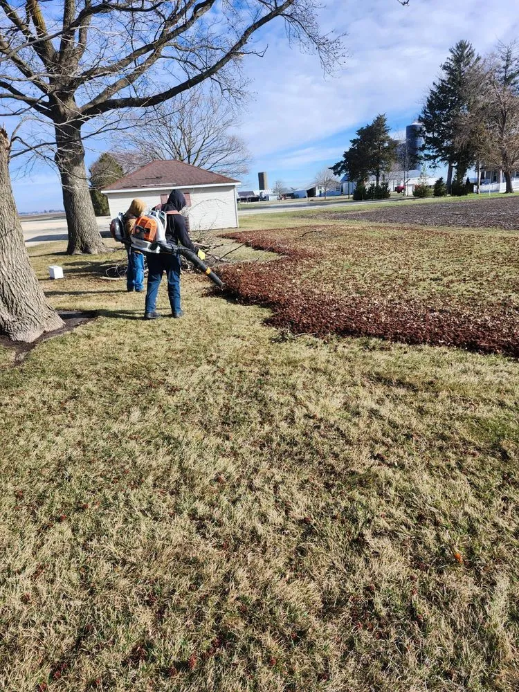 Trusted yard cleanup service in Ogden, IL by D Ramm Services & Stump Grinding