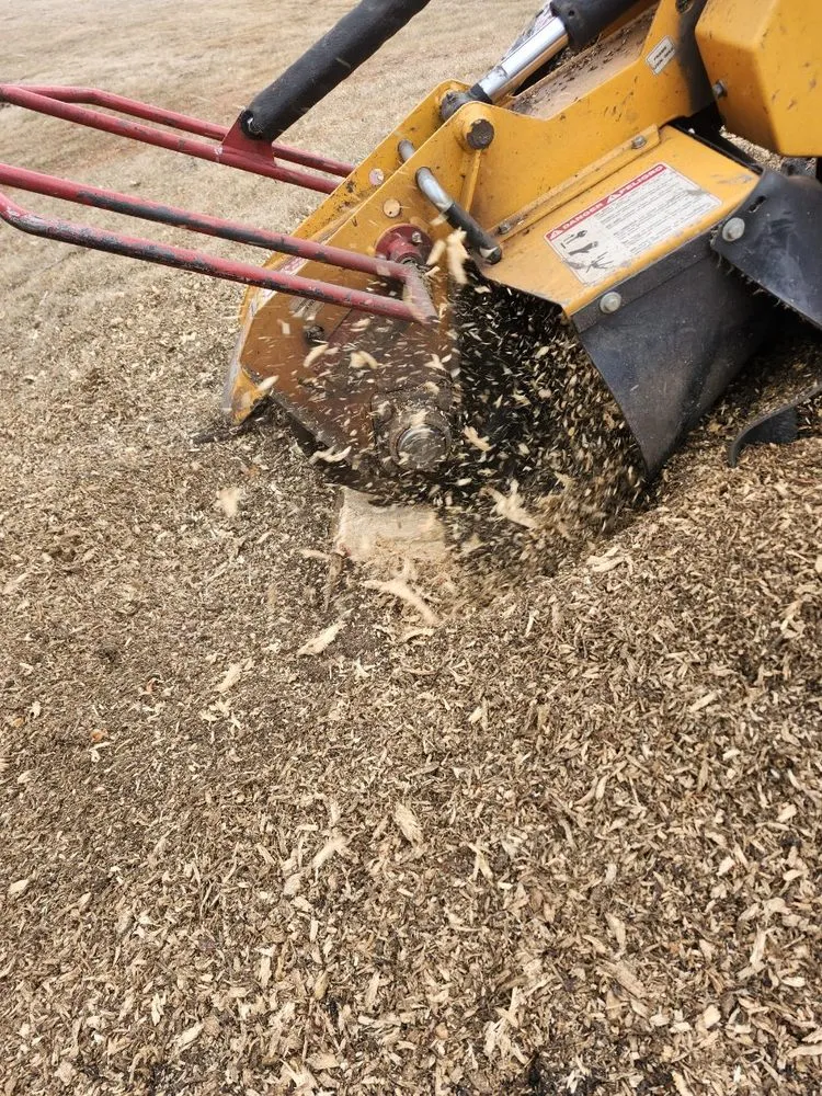 Professional outdoor landscaping in Ogden, IL by D Ramm Services & Stump Grinding