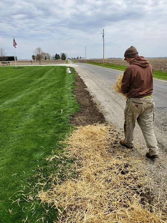 Professional landscaping services experts serving Ogden, IL - D Ramm Services & Stump Grinding