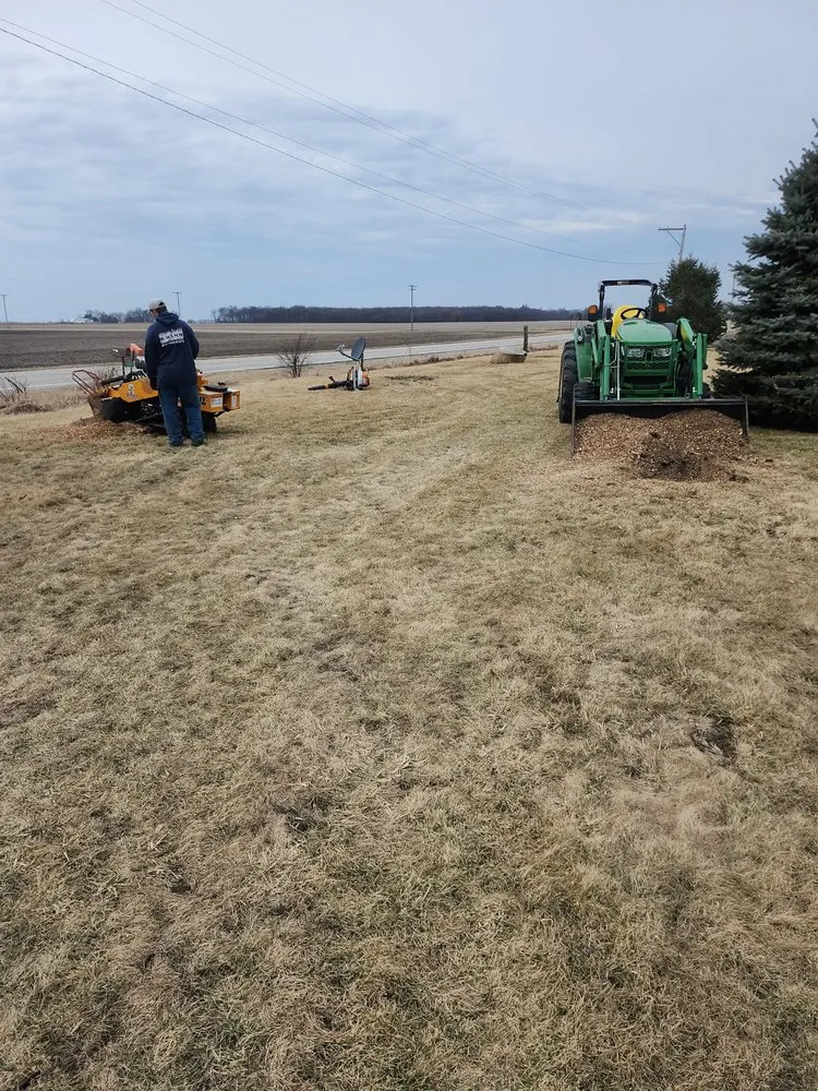 Top-rated yard maintenance for homes in Ogden, IL by D Ramm Services & Stump Grinding