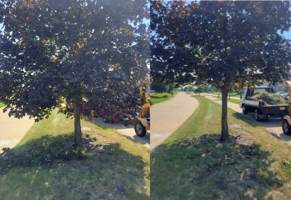 Affordable yard maintenance for outdoor upgrades in Ogden, IL by D Ramm Services & Stump Grinding