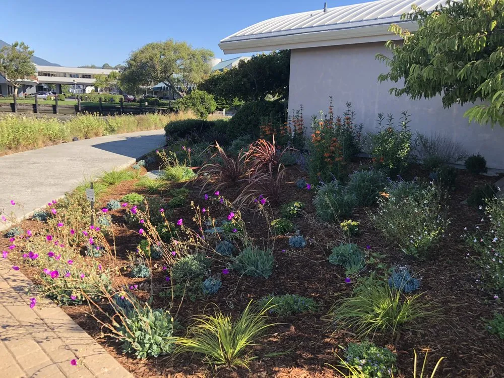 Professional lawn care service in San Rafael, CA - D' ROJAS LANDSCAPE