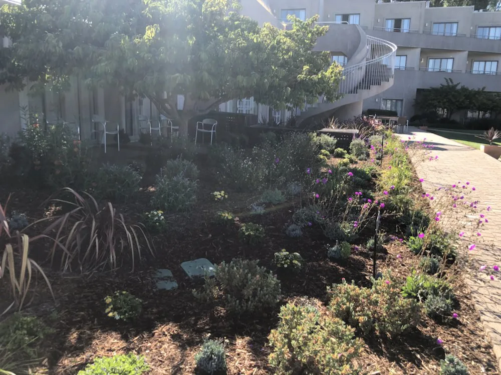 Reliable residential landscaping experts serving San Rafael, CA - D' ROJAS LANDSCAPE