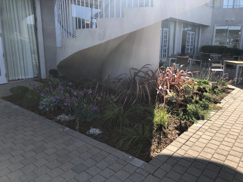 Custom lawn care service in San Rafael, CA by D' ROJAS LANDSCAPE