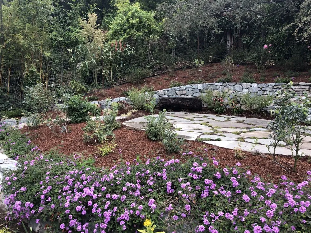 Expert yard maintenance for homes across San Rafael, CA - D' ROJAS LANDSCAPE