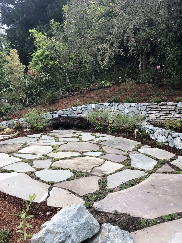 Professional landscape design in San Rafael, CA by D' ROJAS LANDSCAPE