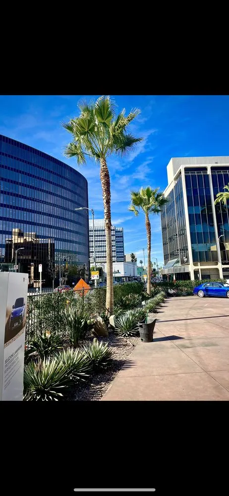 Affordable lawn care service in Valencia, CA - D Royal Landscape