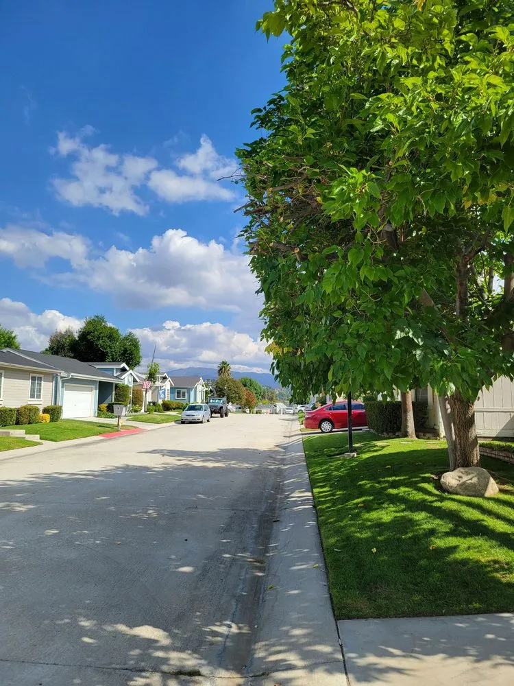 Top-rated residential landscaping with custom design across Valencia, CA - D Royal Landscape