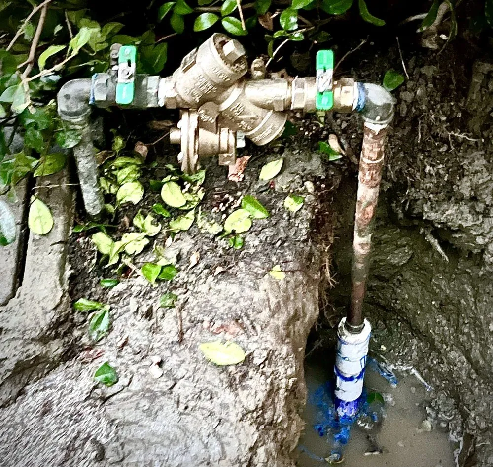 Professional yard maintenance for beautiful yards in Valencia, CA by D Royal Landscape