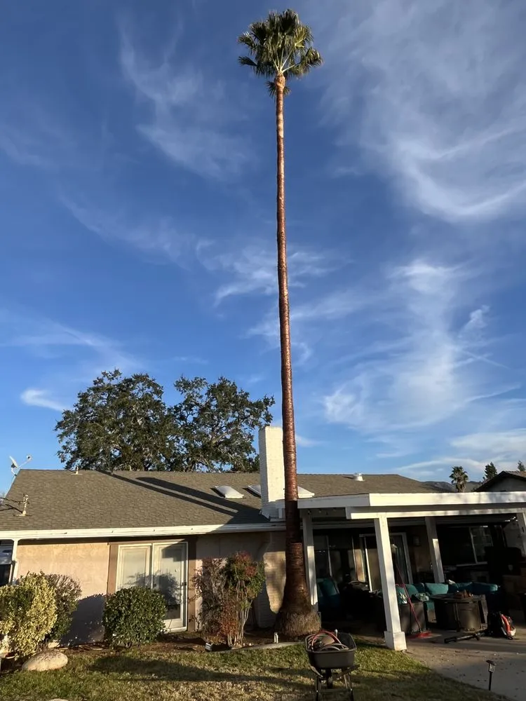 Expert lawn mowing service in Valencia, CA by D Royal Landscape