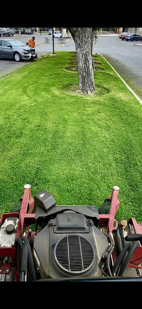 Top-rated outdoor landscaping for residential properties across Valencia, CA - D Royal Landscape