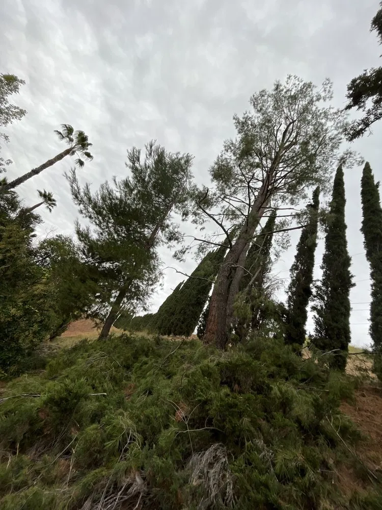 Top-rated outdoor landscaping for residential properties across Valencia, CA - D Royal Landscape