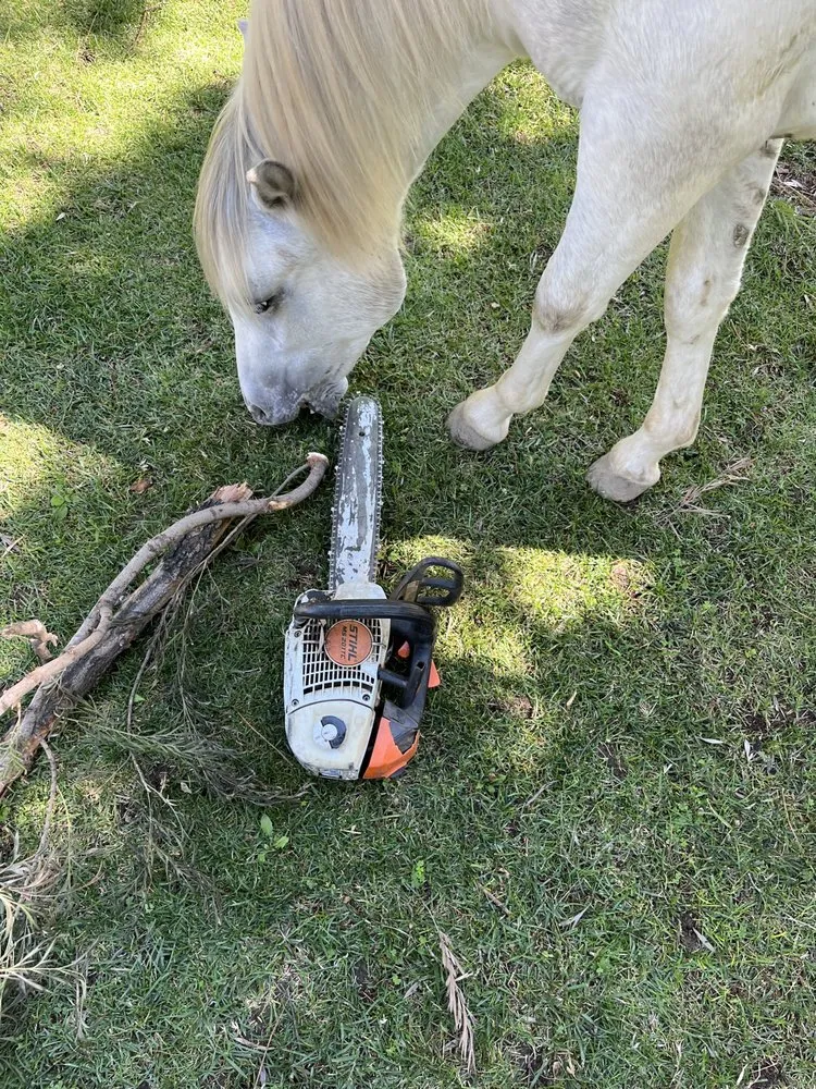 Expert landscaping services for homes across Valencia, CA - D Royal Landscape