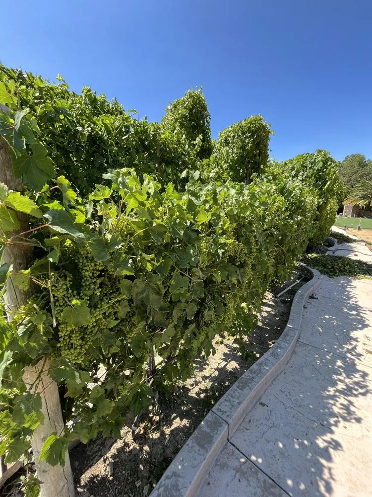 Reliable landscape installation for homes across Valencia, CA - D Royal Landscape