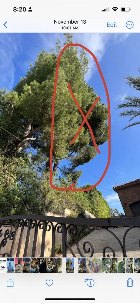 Top-rated landscaping services in Valencia, CA - D Royal Landscape