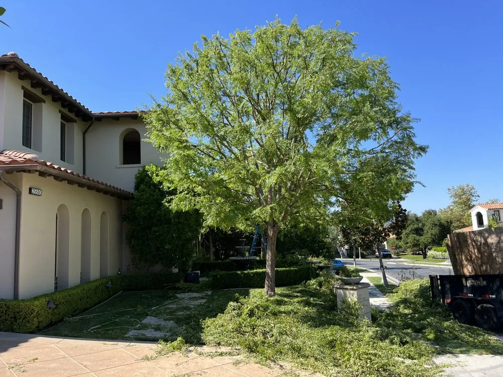 Expert landscape design in Valencia, CA by D Royal Landscape