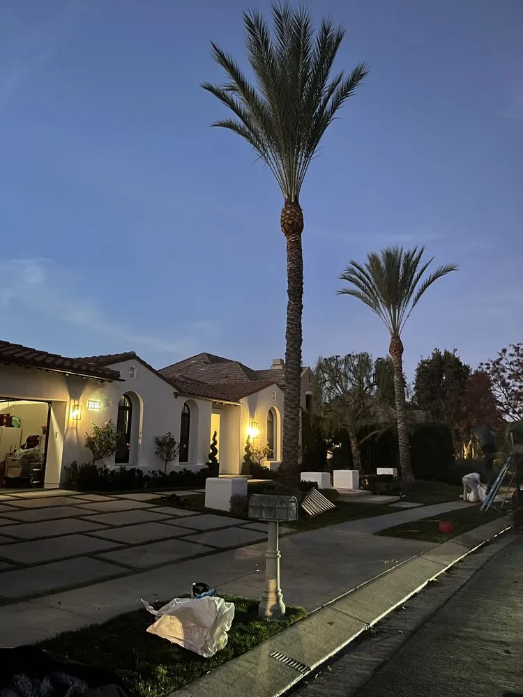 Reliable outdoor landscaping near you in Valencia, CA by D Royal Landscape