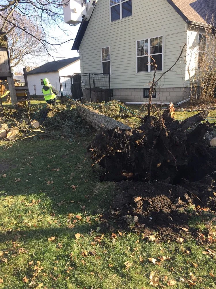 Affordable yard maintenance in Dekalb, IL - D Ryan Tree & Landscape