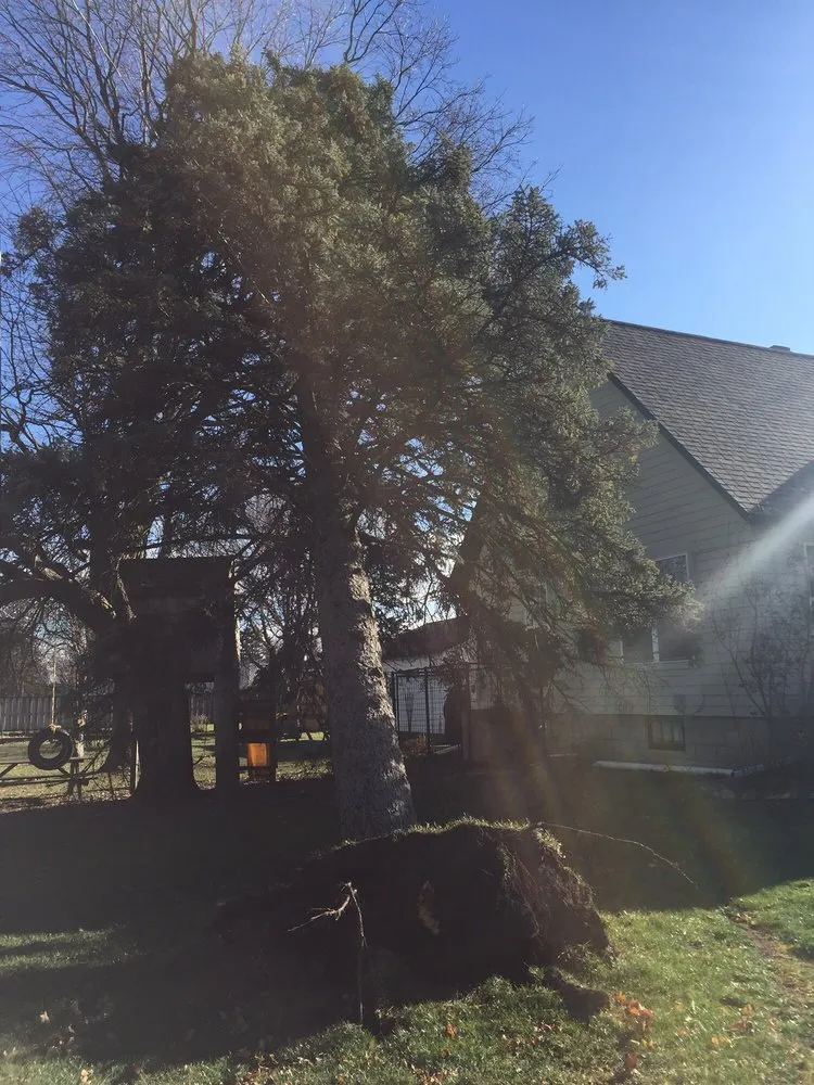 Trusted residential landscaping in Dekalb, IL by D Ryan Tree & Landscape