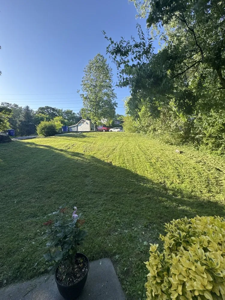 Local landscaping services experts serving Cleveland, TN - D S T Contracting Handyman