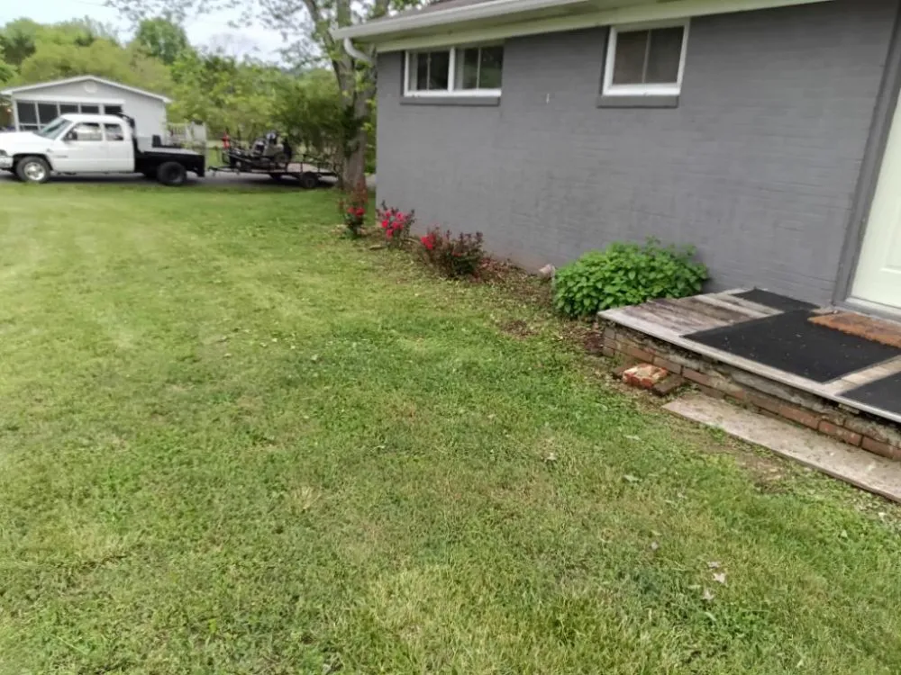 Expert yard cleanup service near you across Cleveland, TN - D S T Contracting Handyman