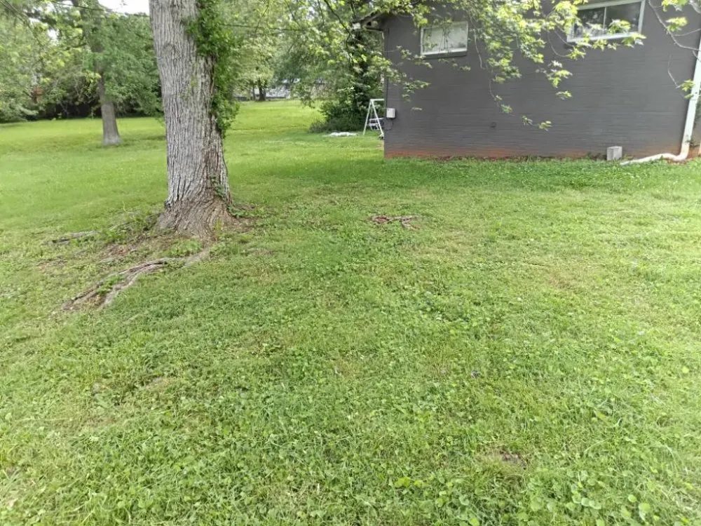 Local yard maintenance in Cleveland, TN by D S T Contracting Handyman