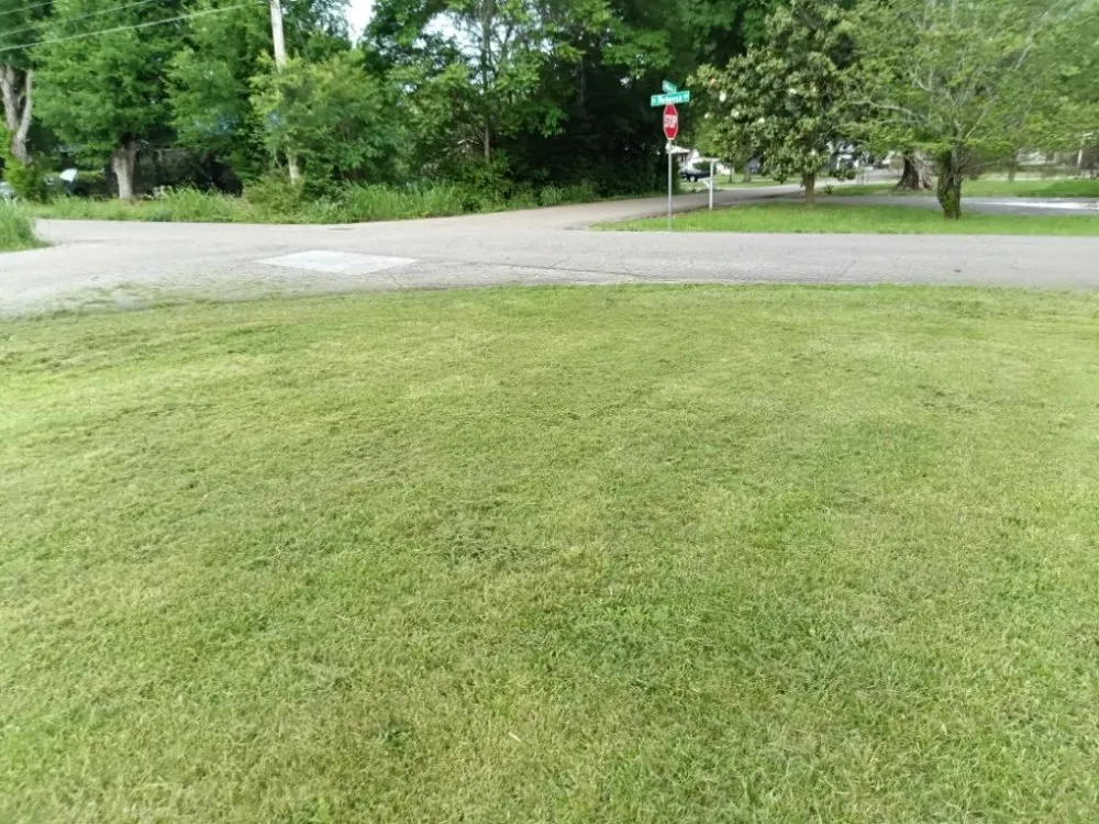 Custom landscape installation in Cleveland, TN by D S T Contracting Handyman