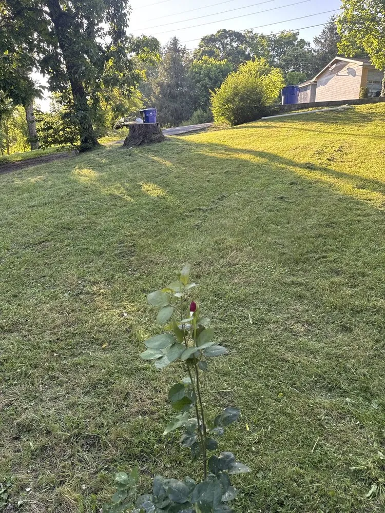 Trusted yard maintenance experts serving Cleveland, TN - D S T Contracting Handyman