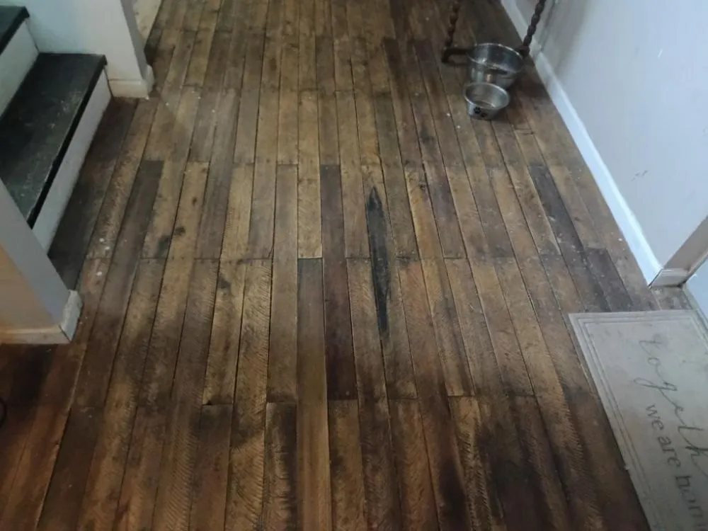 Top-rated lawn mowing service in Cleveland, TN by D S T Contracting Handyman