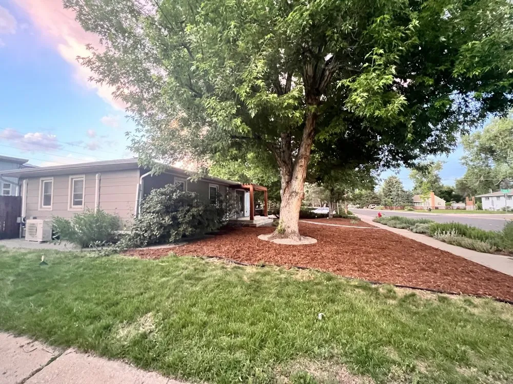 Trusted landscape design in Boulder, CO - D. Silva Landscaping