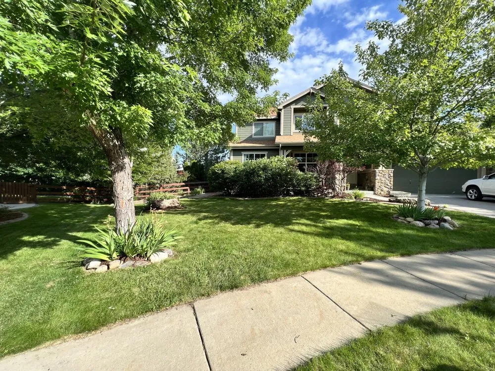 Reliable lawn mowing service experts serving Boulder, CO - D. Silva Landscaping