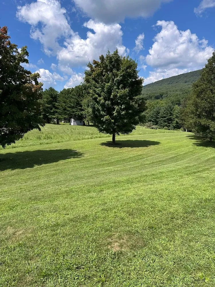 Affordable yard maintenance in Germansville, PA - D T S Mowing