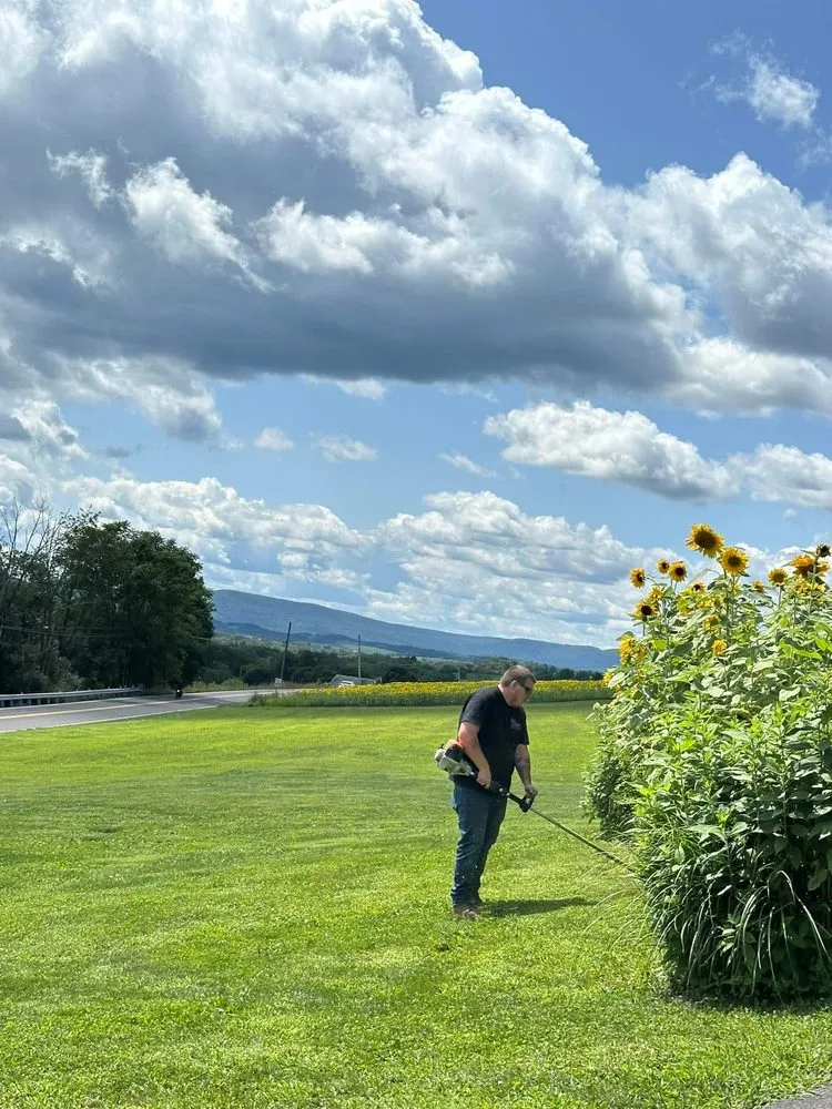 Reliable lawn mowing service in Germansville, PA - D T S Mowing