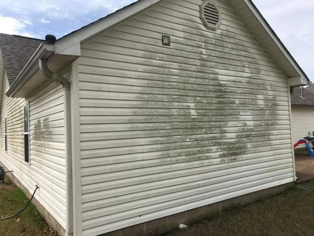 Reliable lawn mowing service for year-round maintenance in Jackson, TN by D Touch