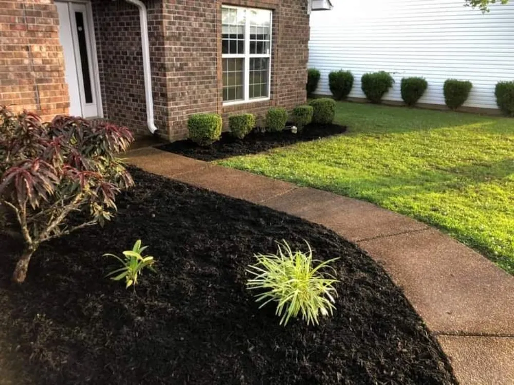 Expert lawn mowing service in Jackson, TN by D Touch