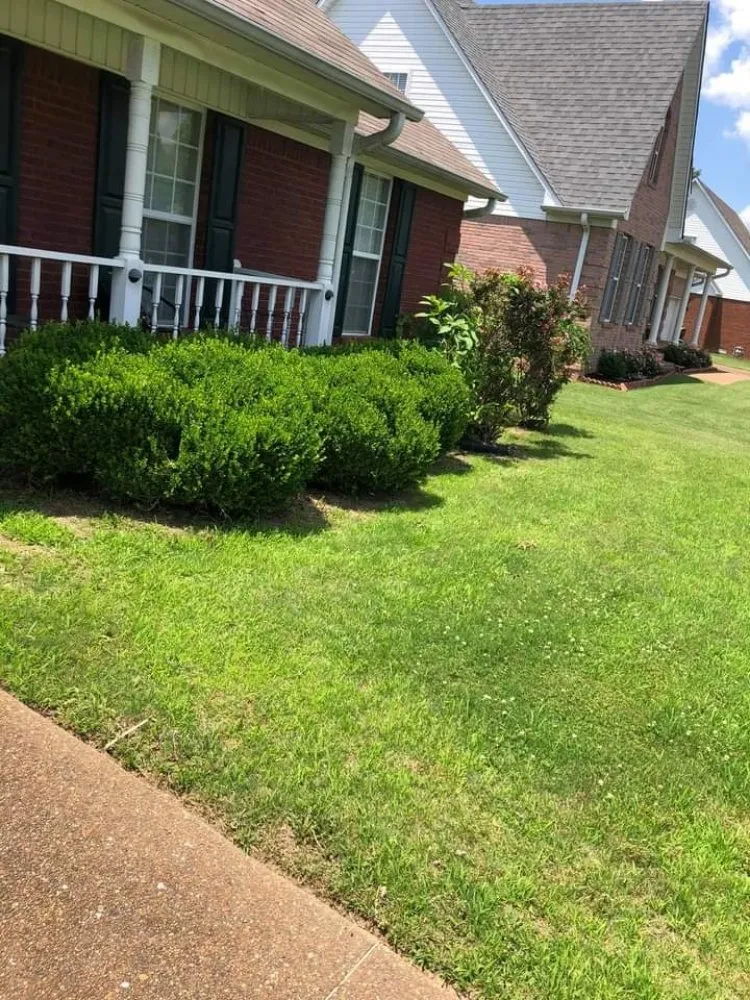 Professional landscaping services in Jackson, TN - D Touch